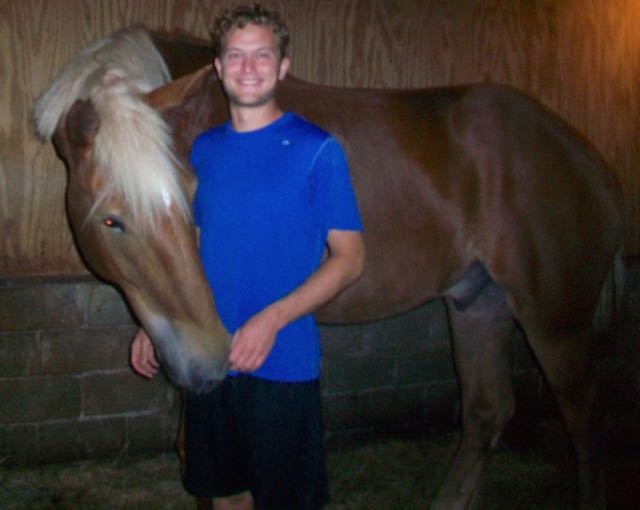 Intern working with the draft horses.